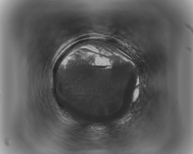 X0000097800247200804110932