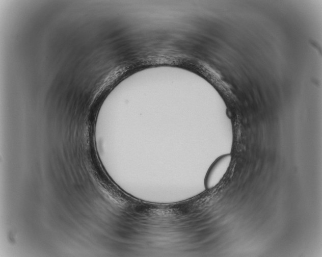 X0000097800250200804110932