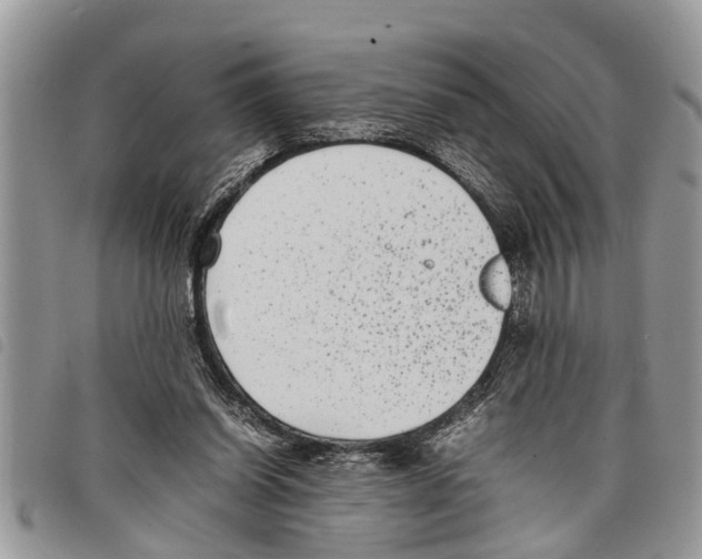 X0000097800254200804110932