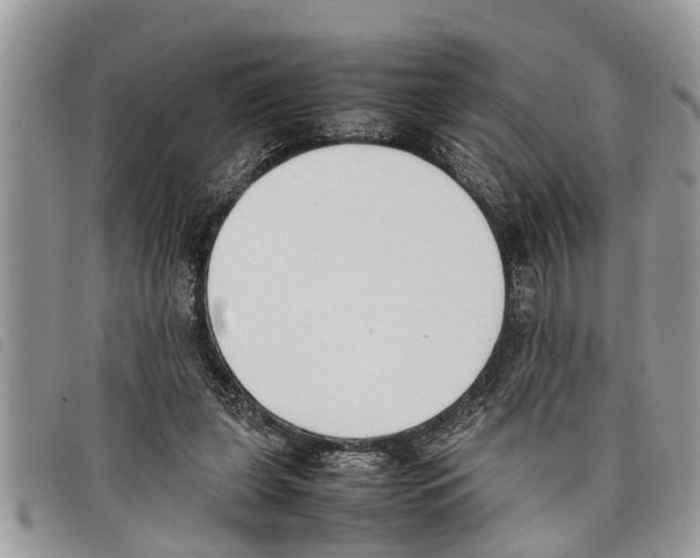 X0000097800255200804110932