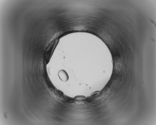 X0000097800256200804110932