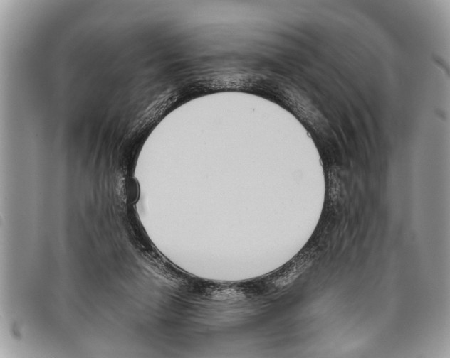 X0000097800258200804110932