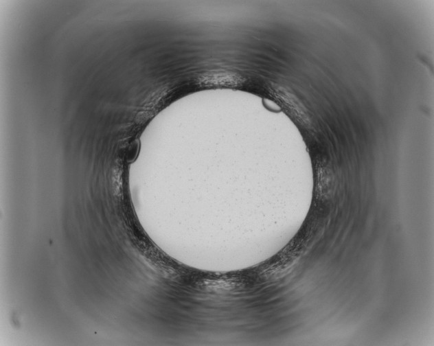 X0000097800259200804110932