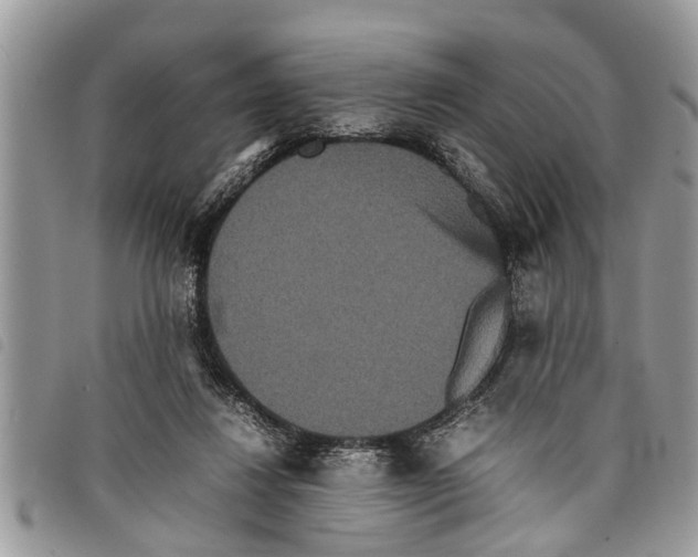 X0000097800260200804110932