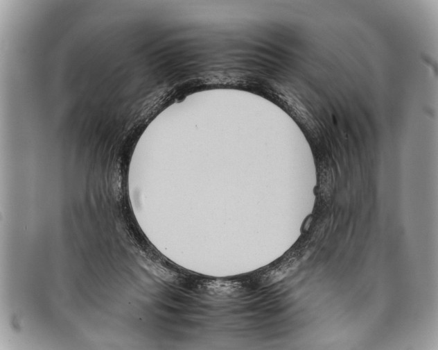 X0000097800261200804110932