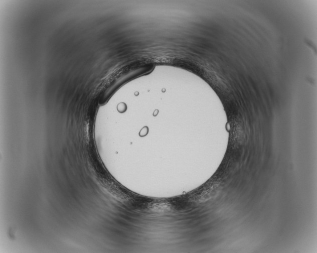 X0000097800262200804110932