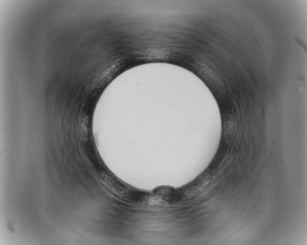 X0000097800264200804110932