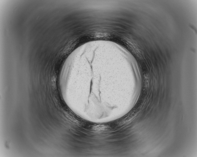 X0000097800269200804110932