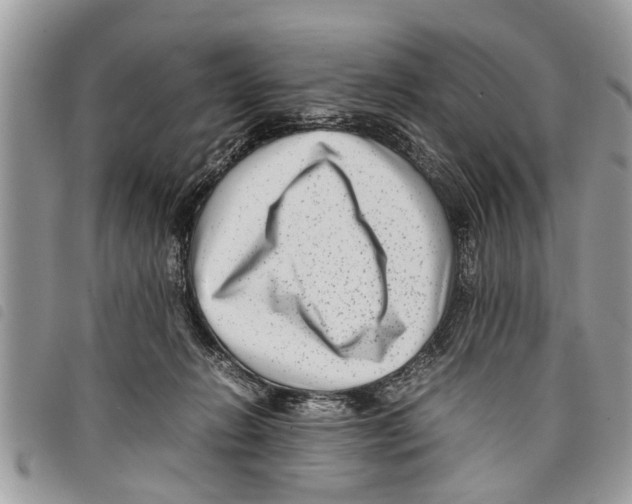 X0000097800270200804110932