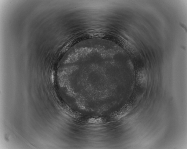 X0000097800271200804110932