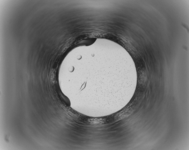 X0000097800273200804110932