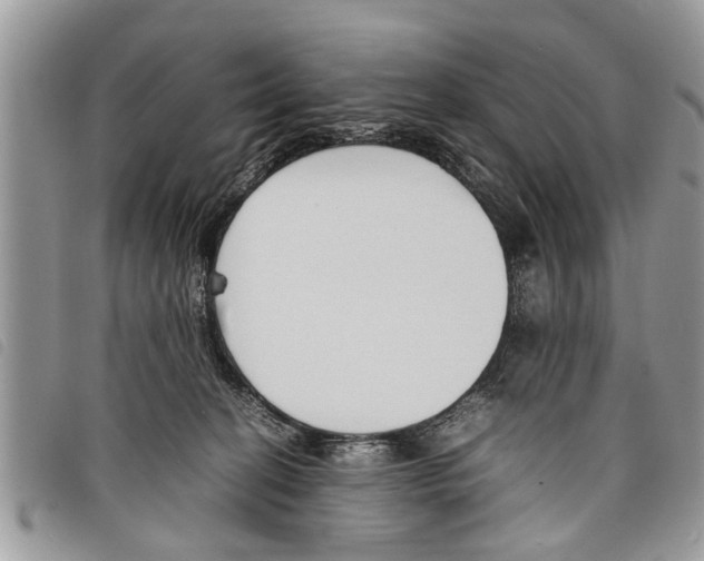 X0000097800274200804110932