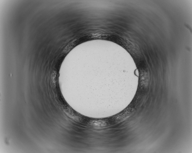 X0000097800275200804110932