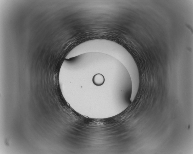 X0000097800276200804110932