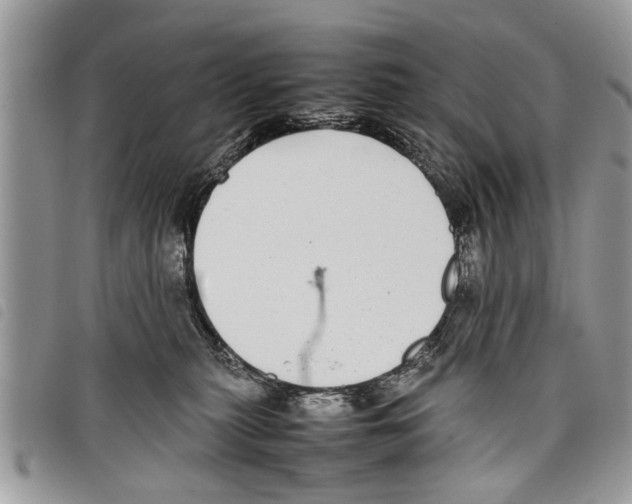 X0000097800279200804110932