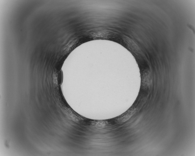 X0000097800282200804110933