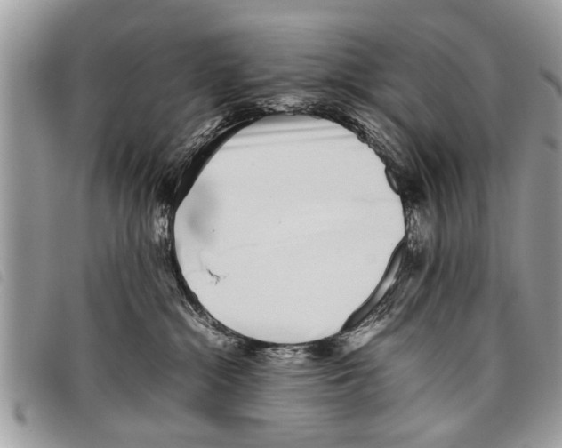 X0000097800284200804110933