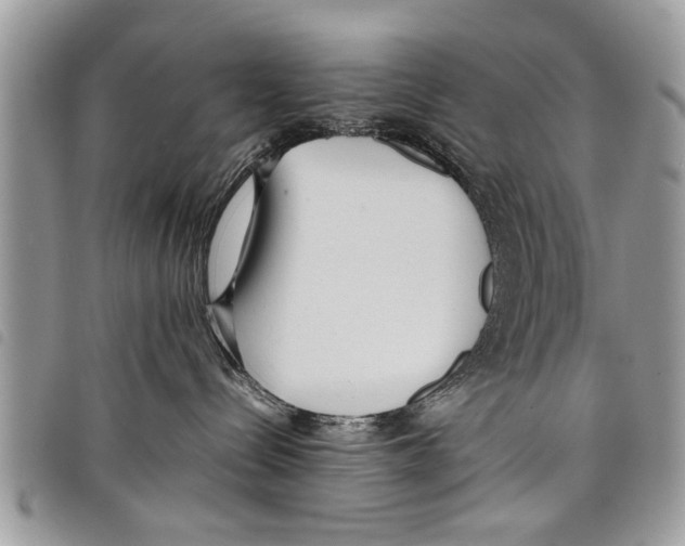 X0000097800288200804110933