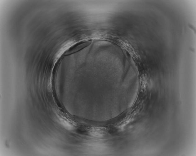 X0000097800292200804110932