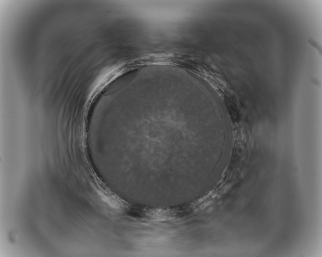 X0000097800293200804110932