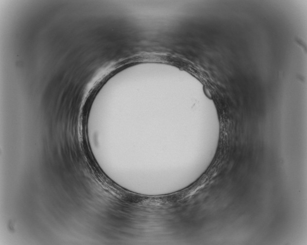 X0000097800294200804110932