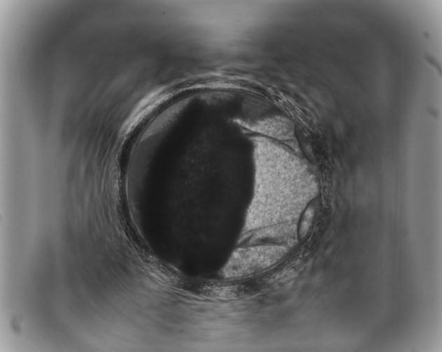 X0000097800295200804110932