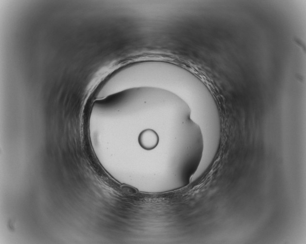 X0000097800296200804110932