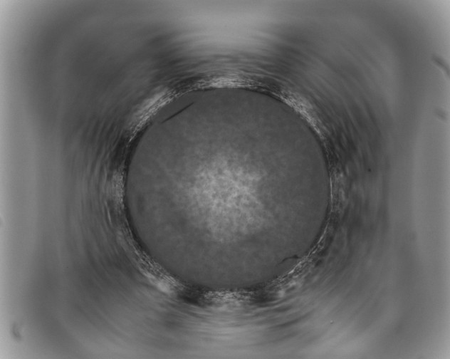 X0000097800297200804110932