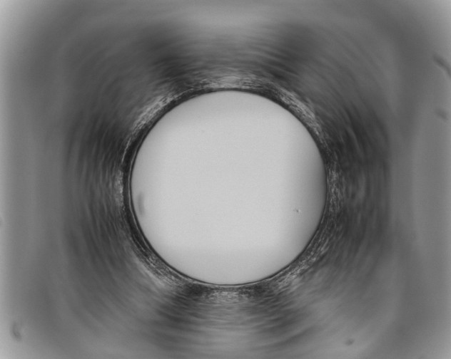 X0000097800298200804110932