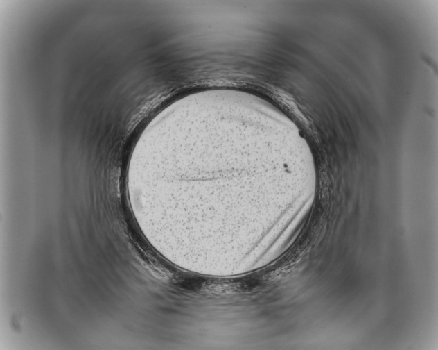 X0000097800299200804110932