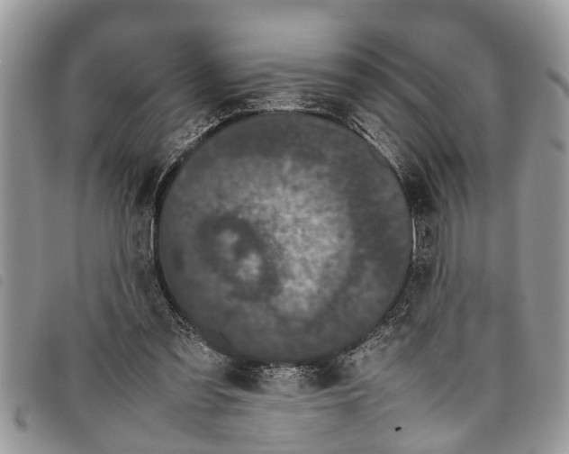 X0000097800301200804110932