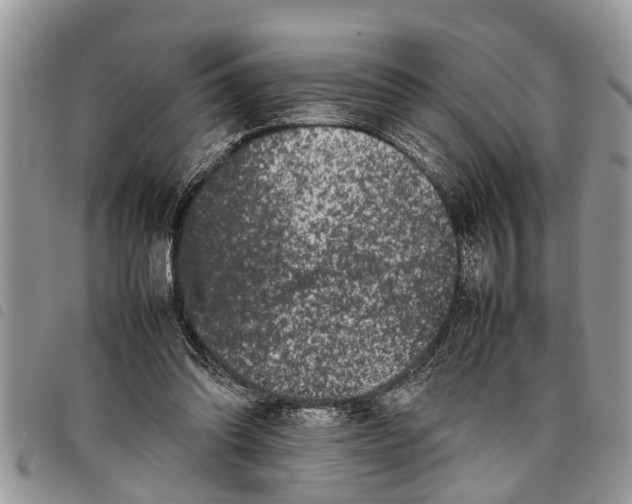 X0000097800302200804110932