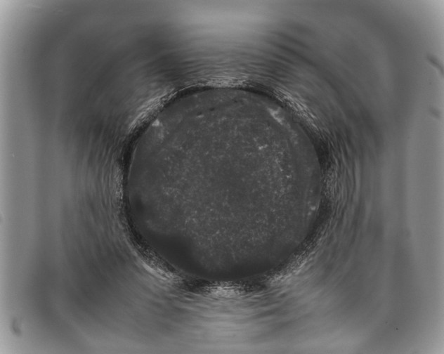 X0000097800303200804110932