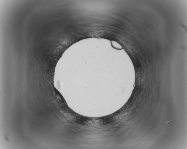 X0000097800307200804110931