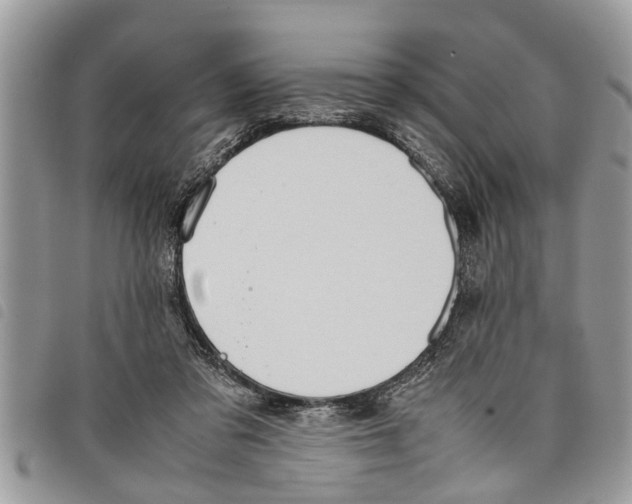 X0000097800309200804110931