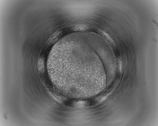 X0000097800312200804110931