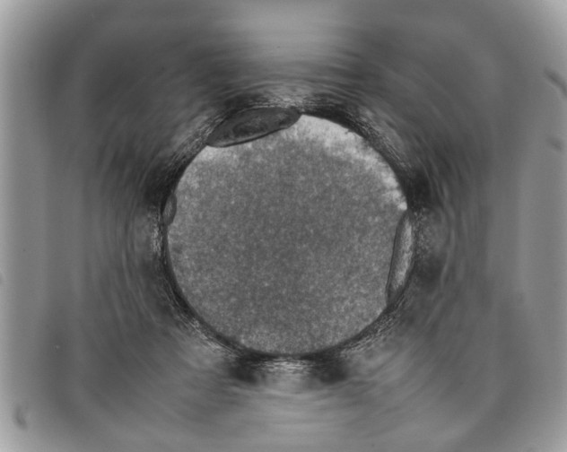 X0000097800313200804110931