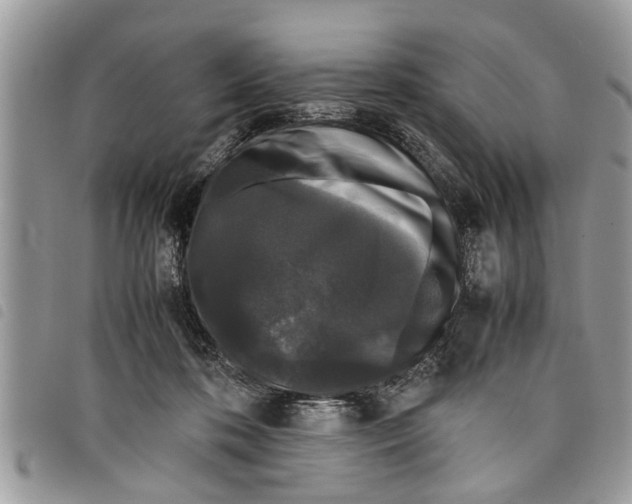 X0000097800316200804110931