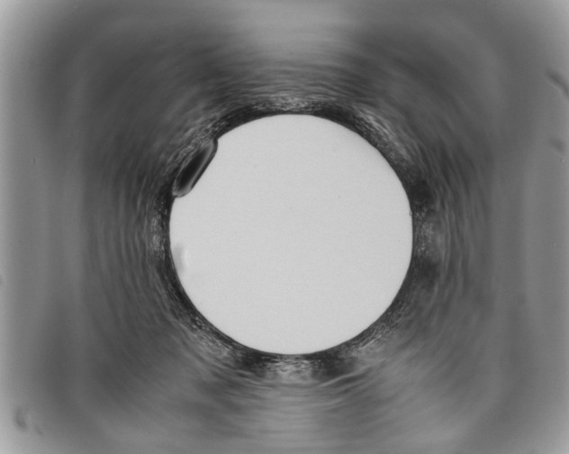 X0000097800317200804110931