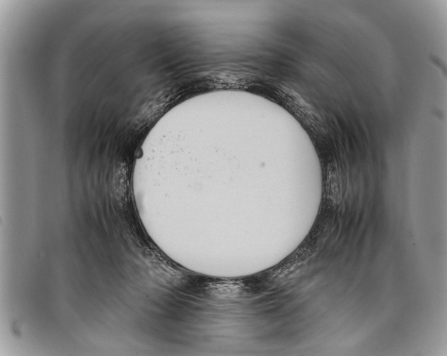 X0000097800318200804110931