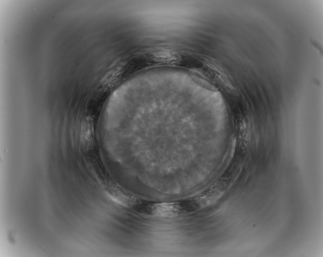 X0000097800320200804110931