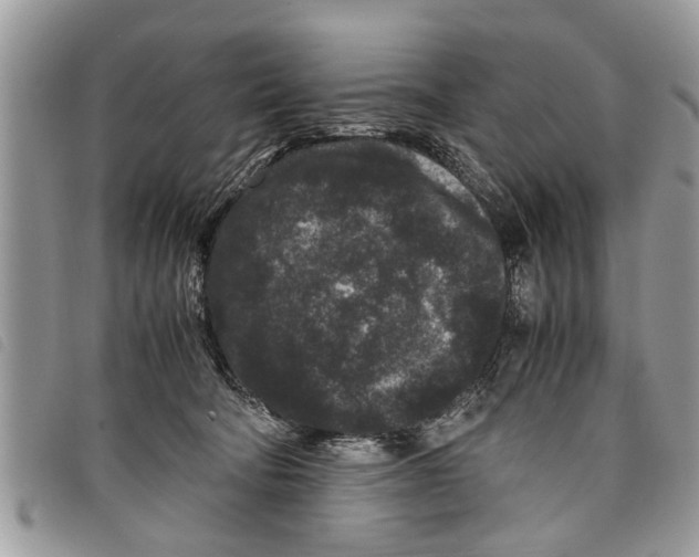 X0000097800322200804110931