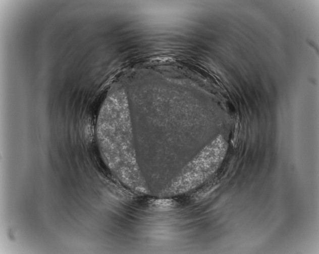 X0000097800324200804110931