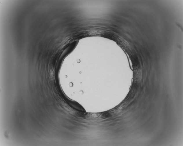 X0000097800329200804110931