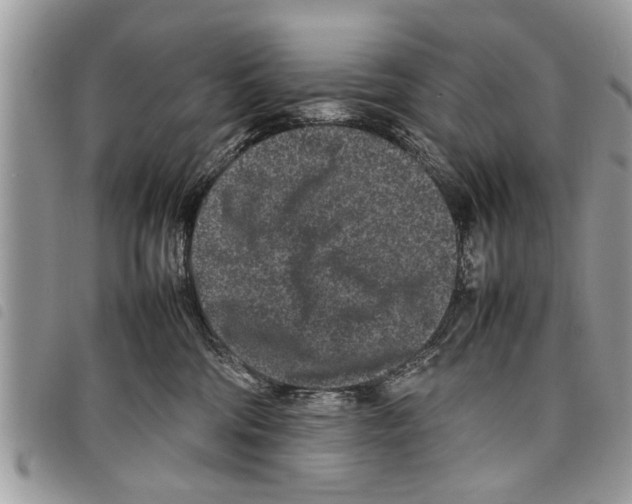 X0000097800330200804110931