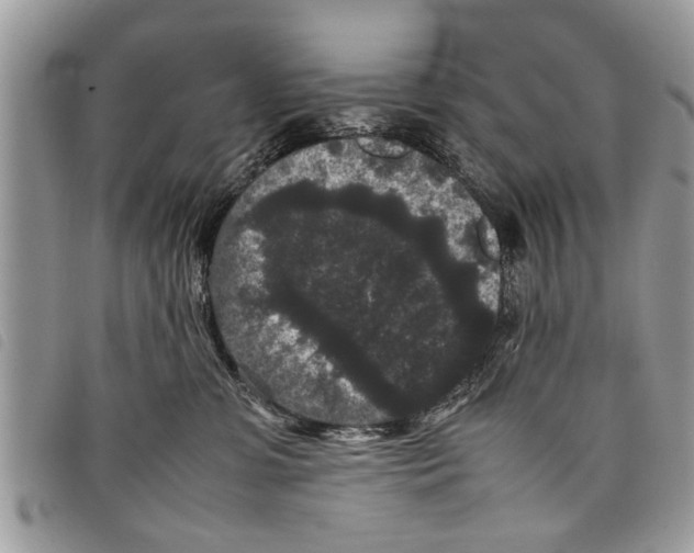 X0000097800331200804110931