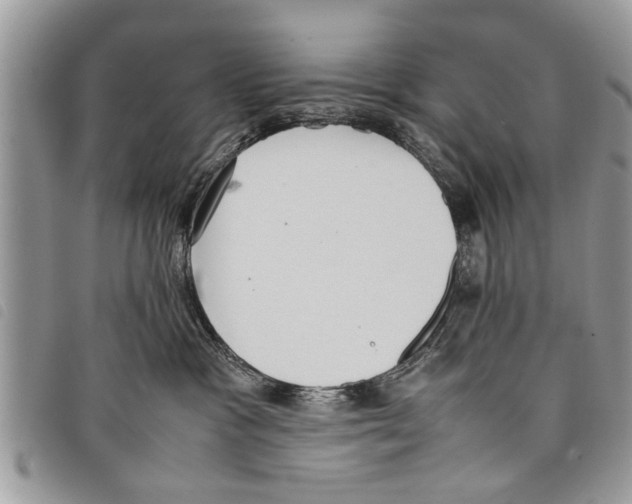 X0000097800333200804110931