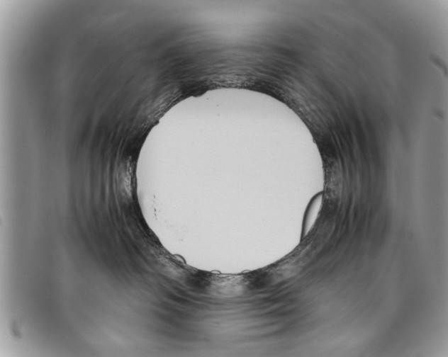 X0000097800334200804110931