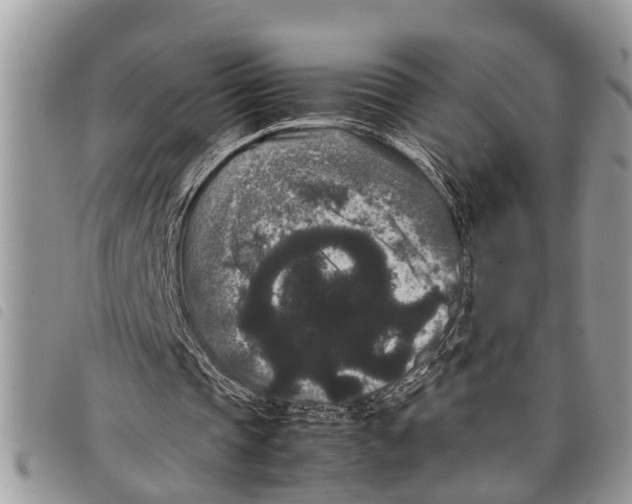 X0000097800337200804110930