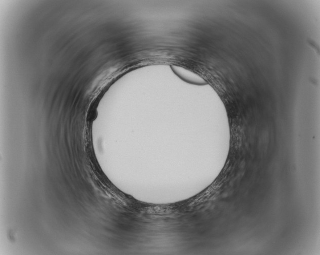 X0000097800338200804110930